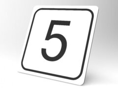 Placuta alba pentru siguranta 5